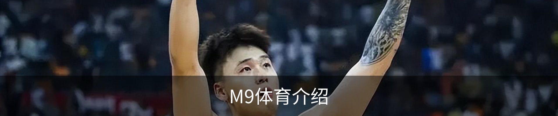 M9体育介绍